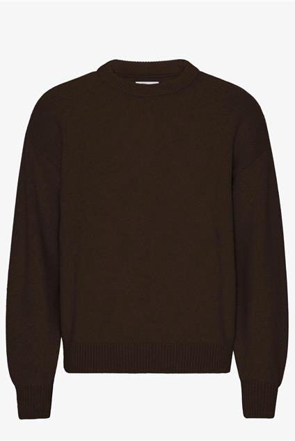 Colorful Standard Oversized Merino Wool Crew - Coffee Brown